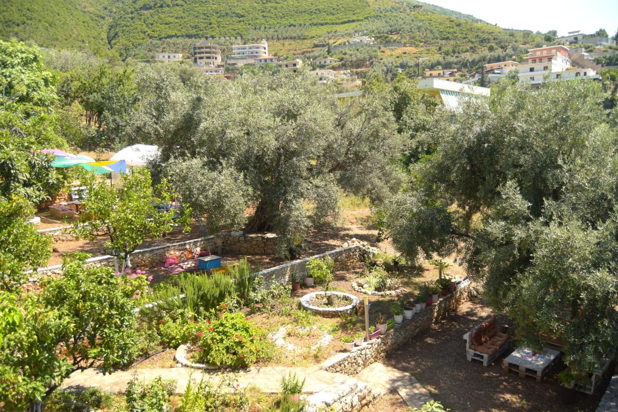 Vila Toskaj วญอเรอ ภายนอก รูปภาพ
